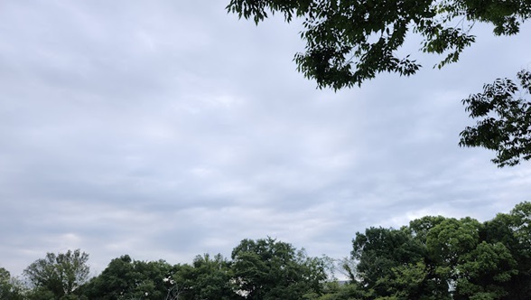20240731_052655.jpg