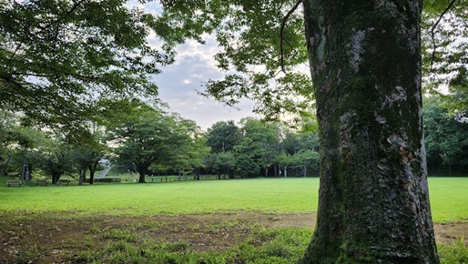 20240804_054939.jpg