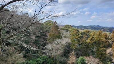 20250121_135035.jpg