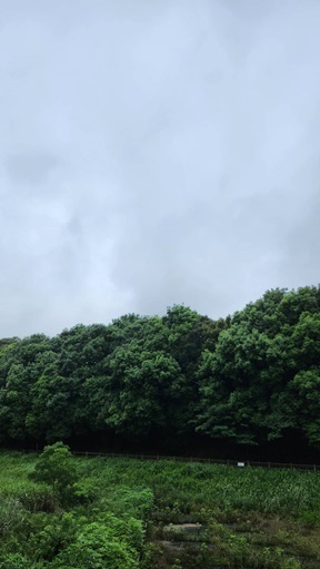 278.jpg