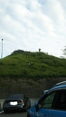 DSC_0008.JPG