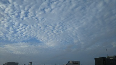 DSC_0010.JPG