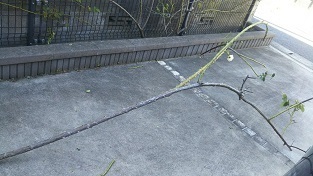 DSC_0048.JPG