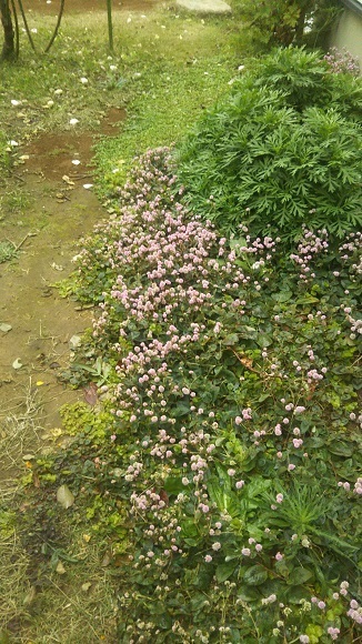 DSC_0073.JPG