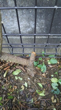 DSC_0127.JPG