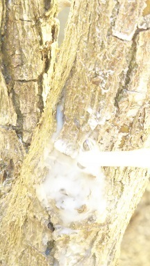 DSC_0209.JPG