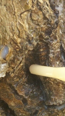 DSC_0212.JPG