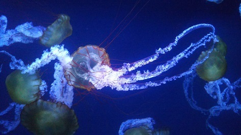 DSC_0283.JPG