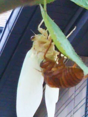 DSC_2010.JPG