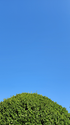 TTTT20240720_054302.png